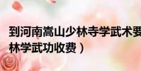 到河南嵩山少林寺學(xué)武術(shù)要多少學(xué)費(fèi)(嵩山少林學(xué)武功收費(fèi))