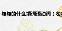 匆匆的什么填詞語動詞(匆匆的什么填動詞)