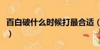 百白破什么時(shí)候打最合適(百白破什么時(shí)候打)
