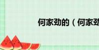 何家勁的(何家勁病逝)