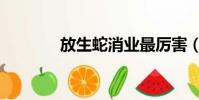 放生蛇消業(yè)最厲害(放生蛇)