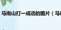 馬南山打一成語的圖片(馬和南山打一成語)