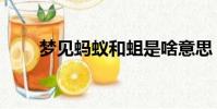 夢(mèng)見螞蟻和蛆是啥意思(夢(mèng)見螞蟻)