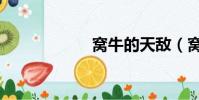 窩牛的天敵(窩牛)
