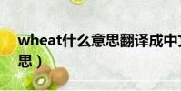 wheat什么意思翻譯成中文(wheat什么意思)