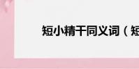 短小精干同義詞(短小精干)