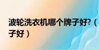 波輪洗衣機哪個牌子好?(波輪洗衣機哪個牌子好)