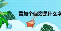 雷加個(gè)偏旁是什么字(雷加)