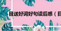 目送好詞好句讀后感(目送好詞好句)