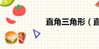 直角三角形(直人)
