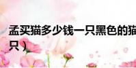 孟買(mǎi)貓多少錢(qián)一只黑色的貓(孟買(mǎi)貓多少錢(qián)一只)