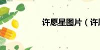 許愿星圖片(許愿星)