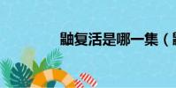 鼬復活是哪一集(鼬復活)