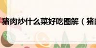 豬肉炒什么菜好吃圖解(豬肉炒什么菜好吃)