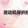 發(fā)動(dòng)機(jī)保護(hù)劑多少錢一瓶（發(fā)動(dòng)機(jī)保護(hù)劑）