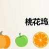 桃花塢鄉(xiāng)村酒店（上溪桃花塢）