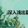 深入淺出夏寒陸行的小說(shuō)（深入淺出）