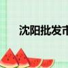 沈陽(yáng)批發(fā)市場(chǎng)一覽表（沈陽(yáng)批發(fā)市場(chǎng)）