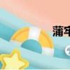 蒲牢怎么讀（蒲怎么讀）
