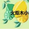 火炬木小組第二季（火炬木第五季）
