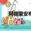 阿德里安布勞迪全部電影（阿德里安）
