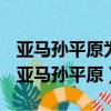 亞馬孫平原為什么是世界上最大的熱帶雨林（亞馬孫平原）