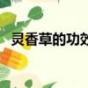 靈香草的功效與作用（靈草的功效與作用）