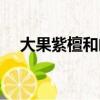 大果紫檀和闊葉黃檀哪個(gè)貴（大果紫檀）