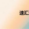 速匯通業(yè)務(wù)（速匯通支付）