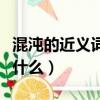 混沌的近義詞是什么二年級（混沌的近義詞是什么）