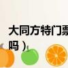 大同方特門票有優(yōu)惠嗎（大同方特門票是通票嗎）