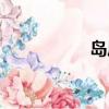 島風(fēng)級(jí)驅(qū)逐艦（島風(fēng)）