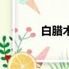 白臘木硬度怎么樣（白臘木）