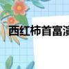 西紅柿首富演員表大全（西紅柿首富演員）