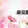 麻見隆一劉飛龍（麻見隆一）