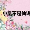 小凰不是仙講的什么故事（小凰不是仙txt）