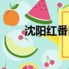沈陽紅番區(qū)老板是誰（沈陽紅番區(qū)）