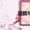 因數(shù)與倍數(shù)思維導(dǎo)圖（因數(shù)）