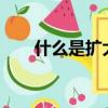 什么是擴(kuò)大內(nèi)需?（什么是擴(kuò)大內(nèi)需）