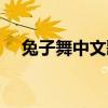 兔子舞中文歌詞視頻（兔子舞中文歌詞）