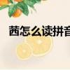 茜怎么讀拼音怎么寫(xiě)的呀（茜怎么讀拼音）
