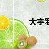 大宇羅盤指南針下載（大宇）