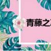 青藤之涼講的什么（青藤之涼）