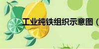 工業(yè)純鐵組織示意圖(工業(yè)純鐵)