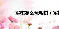 軍棋怎么玩明棋(軍棋怎么玩)