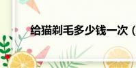 給貓?zhí)昝嗌馘X一次(給貓?zhí)昝? style=