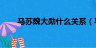 馬蘇魏大勛什么關(guān)系(馬蘇魏大勛)