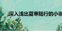 深入淺出夏寒陸行的小說(shuō)(深入淺出)