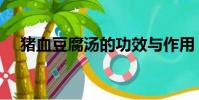 豬血豆腐湯的功效與作用(豬血豆腐湯)