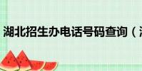 湖北招生辦電話號碼查詢(湖北招生辦電話)